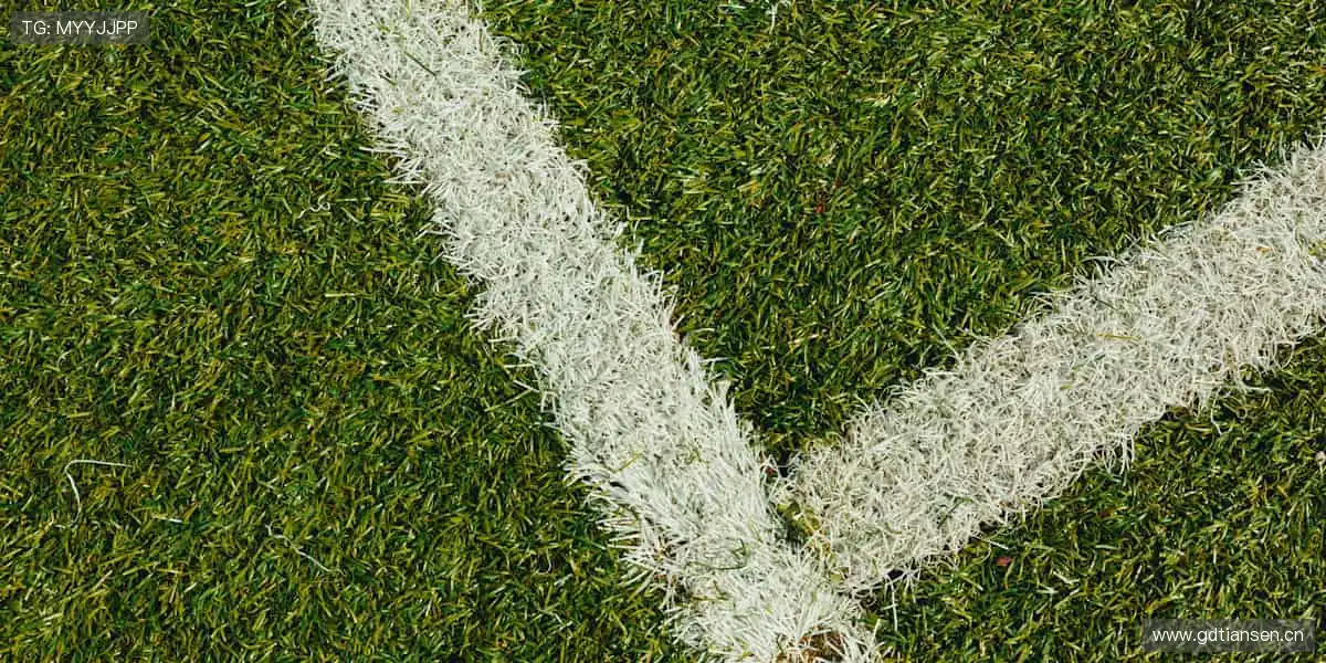 📱实时弹幕,全球球迷在线狂欢!💬